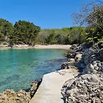 Nef Pinezići