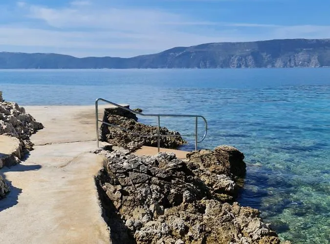 Nef * Пинезичи