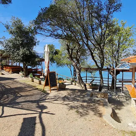 Nef * Pinezici (Krk)